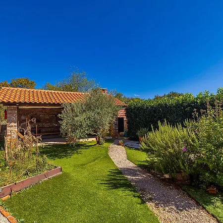 Novkovic * Žgaljić